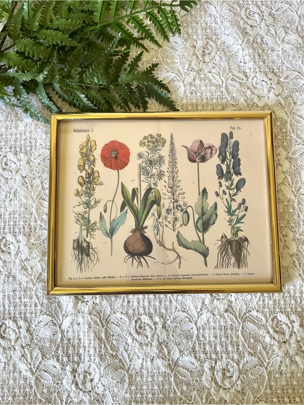 Vintage Brass Framed Flower Chart 8x10